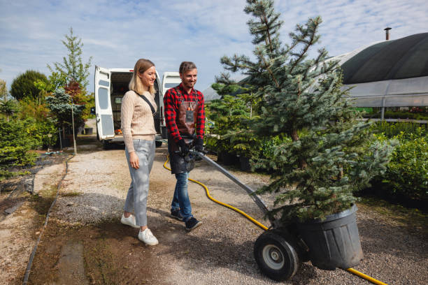 Best Tree Health Inspection  in Pomona, CA